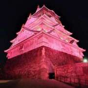 ヒメ日記 2026/03/30 08:54 投稿 稲葉ほのか ミセス大阪日本橋店