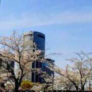 ヒメ日記 2026/04/04 08:57 投稿 稲葉ほのか ミセス大阪日本橋店