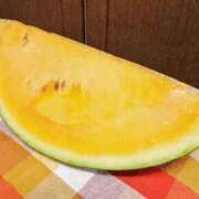 ヒメ日記 2026/07/25 08:34 投稿 稲葉ほのか ひとづま百花
