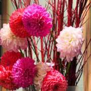 ヒメ日記 2024/12/18 10:53 投稿 春 人妻風俗チャンネル