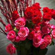 ヒメ日記 2024/12/24 10:54 投稿 春 人妻風俗チャンネル