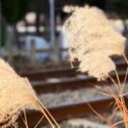 ヒメ日記 2025/01/18 10:40 投稿 春 人妻風俗チャンネル