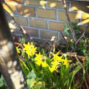 ヒメ日記 2025/02/03 10:38 投稿 春 人妻風俗チャンネル