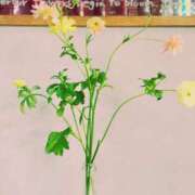 ヒメ日記 2025/02/14 21:30 投稿 春 人妻風俗チャンネル