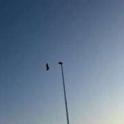 ヒメ日記 2025/02/18 10:38 投稿 春 人妻風俗チャンネル