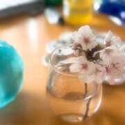 ヒメ日記 2025/04/02 11:09 投稿 春 人妻風俗チャンネル