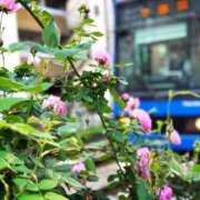 ヒメ日記 2025/05/07 10:33 投稿 春 人妻風俗チャンネル