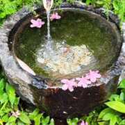 ヒメ日記 2025/05/22 16:47 投稿 春 人妻風俗チャンネル