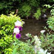 ヒメ日記 2025/05/26 10:33 投稿 春 人妻風俗チャンネル