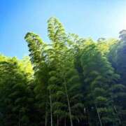 ヒメ日記 2025/06/28 09:39 投稿 春 人妻風俗チャンネル