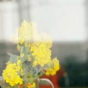 春 2月の出勤 人妻風俗チャンネル