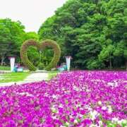 ヒメ日記 2025/05/24 06:44 投稿 りおん 神戸3040（神戸サーティフォーティ）