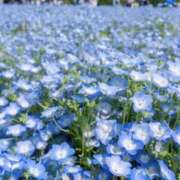 ヒメ日記 2025/05/31 06:34 投稿 りおん 神戸3040（神戸サーティフォーティ）