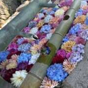 ヒメ日記 2025/06/21 06:34 投稿 りおん 神戸3040（神戸サーティフォーティ）