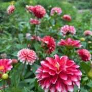 ヒメ日記 2025/06/27 06:45 投稿 りおん 神戸3040（神戸サーティフォーティ）