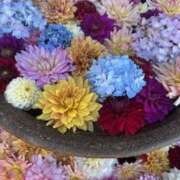 ヒメ日記 2025/06/28 06:54 投稿 りおん 神戸3040（神戸サーティフォーティ）