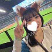 ヒメ日記 2025/04/30 10:12 投稿 ウタノ PLATINUM