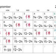 ヒメ日記 2025/08/22 13:28 投稿 ウタノ PLATINUM