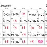 ヒメ日記 2025/11/21 11:40 投稿 ウタノ PLATINUM