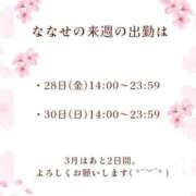 ヒメ日記 2025/03/21 07:16 投稿 ななせ 東京妻next (京都グループ)