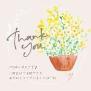 ヒメ日記 2025/03/22 07:36 投稿 ななせ 東京妻next (京都グループ)