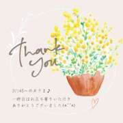 ヒメ日記 2025/03/22 07:56 投稿 ななせ 東京妻next (京都グループ)