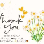 ヒメ日記 2025/03/30 13:26 投稿 ななせ 東京妻next (京都グループ)