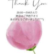 ヒメ日記 2025/03/31 08:56 投稿 ななせ 東京妻next (京都グループ)