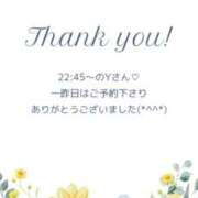 ヒメ日記 2025/04/02 10:11 投稿 ななせ 東京妻next (京都グループ)