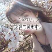 ヒメ日記 2025/04/04 13:56 投稿 ななせ 東京妻next (京都グループ)