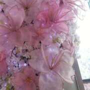 ヒメ日記 2025/04/09 06:16 投稿 ななせ 東京妻next (京都グループ)