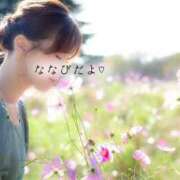 ヒメ日記 2025/04/12 07:46 投稿 ななせ 東京妻next (京都グループ)