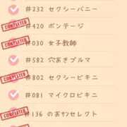 ヒメ日記 2025/04/12 07:56 投稿 ななせ 東京妻next (京都グループ)