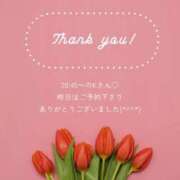 ヒメ日記 2025/04/12 10:04 投稿 ななせ 東京妻next (京都グループ)