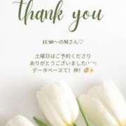 ヒメ日記 2025/04/15 22:46 投稿 ななせ 東京妻next (京都グループ)