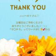 ヒメ日記 2025/04/15 23:06 投稿 ななせ 東京妻next (京都グループ)