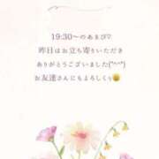 ヒメ日記 2025/04/21 13:40 投稿 ななせ 東京妻next (京都グループ)