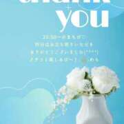 ヒメ日記 2025/04/21 13:50 投稿 ななせ 東京妻next (京都グループ)
