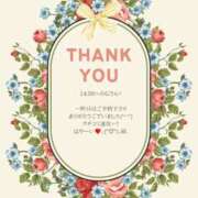 ヒメ日記 2025/04/23 08:26 投稿 ななせ 東京妻next (京都グループ)