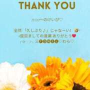 ヒメ日記 2025/04/23 08:59 投稿 ななせ 東京妻next (京都グループ)
