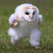 ヒメ日記 2025/04/26 06:16 投稿 ななせ 東京妻next (京都グループ)