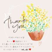 ヒメ日記 2025/04/30 05:44 投稿 ななせ 東京妻next (京都グループ)