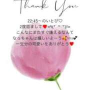 ヒメ日記 2025/04/30 05:56 投稿 ななせ 東京妻next (京都グループ)