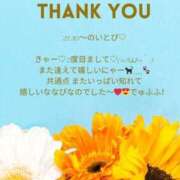 ヒメ日記 2025/05/04 12:56 投稿 ななせ 東京妻next (京都グループ)