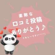 ヒメ日記 2025/05/24 09:16 投稿 ななせ 東京妻next (京都グループ)