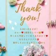 ヒメ日記 2025/05/26 16:06 投稿 ななせ 東京妻next (京都グループ)