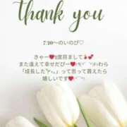 ヒメ日記 2025/05/26 16:10 投稿 ななせ 東京妻next (京都グループ)