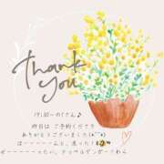 ヒメ日記 2025/05/27 13:42 投稿 ななせ 東京妻next (京都グループ)