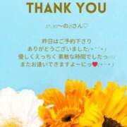 ヒメ日記 2025/05/28 16:06 投稿 ななせ 東京妻next (京都グループ)