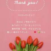 ヒメ日記 2025/05/28 16:16 投稿 ななせ 東京妻next (京都グループ)